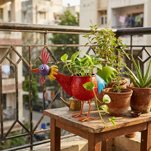 Quirky Planter Duo - Rooster & Mr. Melon