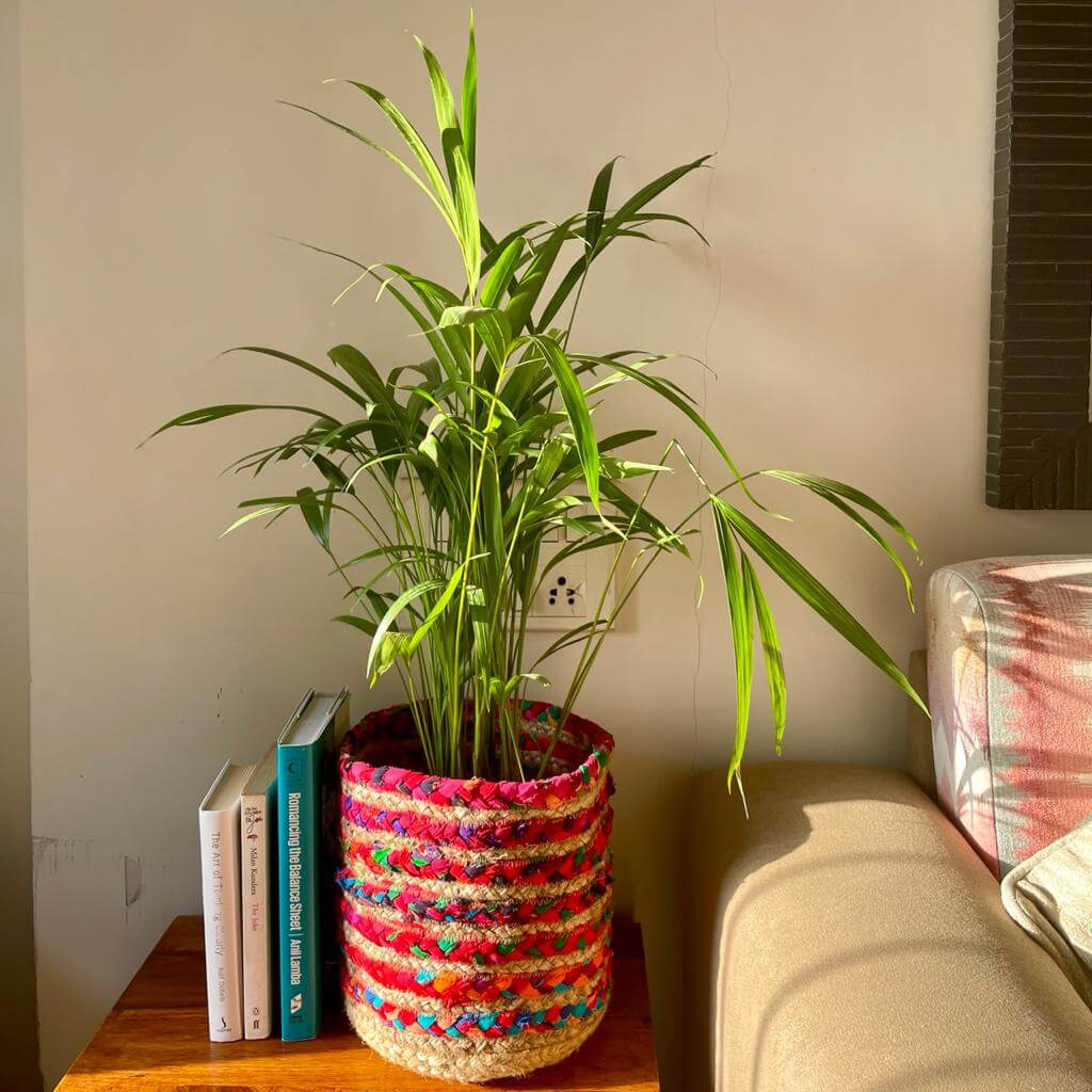 large jute plant pot Multicolour Jute Planter