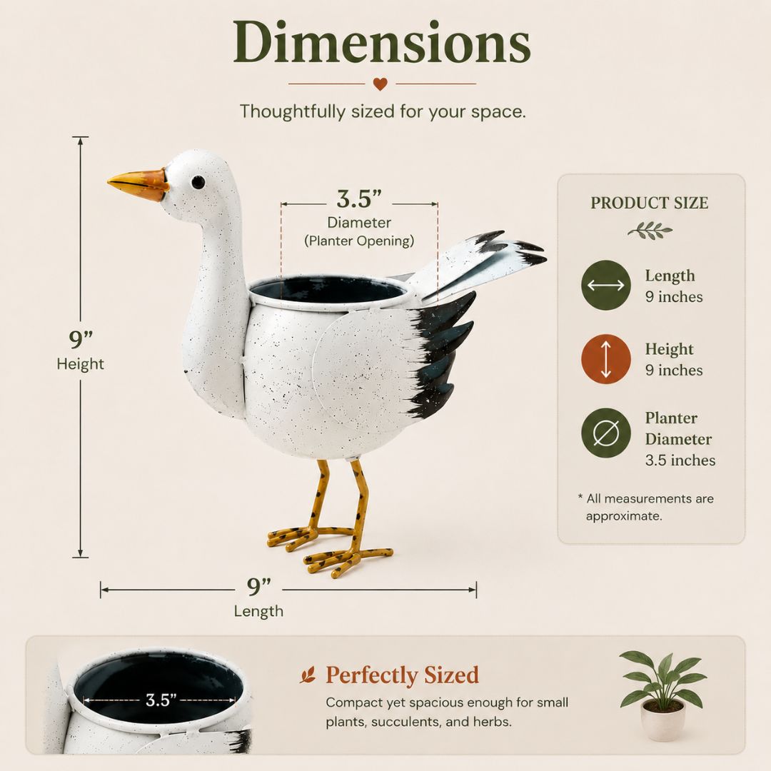 Playful Garden Decor Set