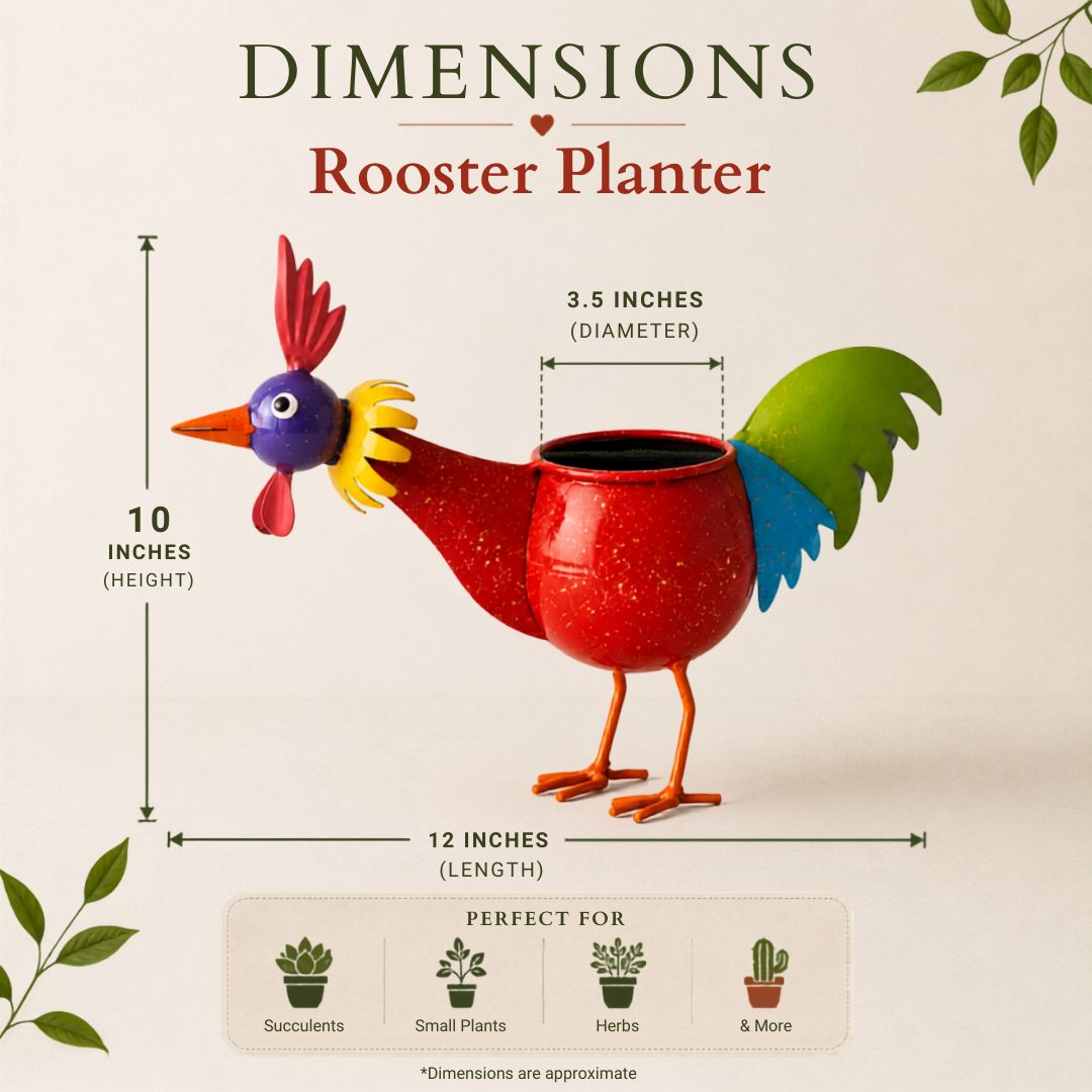 Quirky Planter Duo - Rooster & Mr. Melon