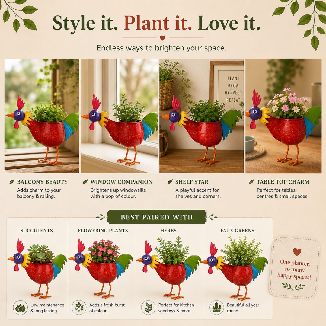 Quirky Planter Duo - Rooster & Mr. Melon