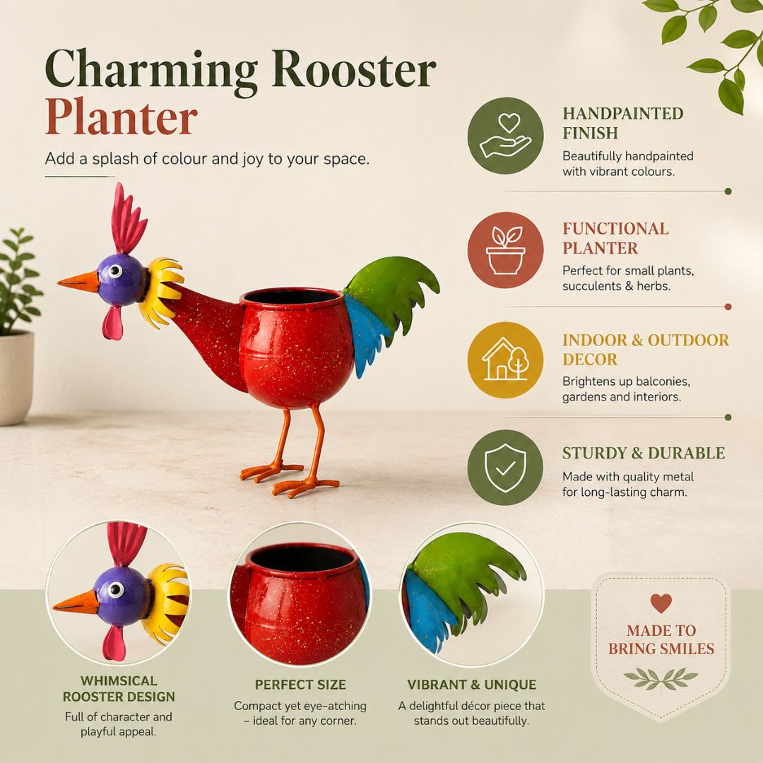 Quirky Planter Duo - Rooster & Mr. Melon