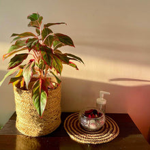 Load image into Gallery viewer, Natural Jute Planter
